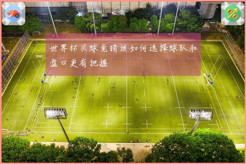 世界杯买球竞猜该如何选择球队和盘口更有把握