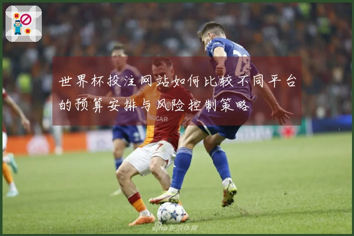 世界杯投注网站如何比较不同平台的预算安排与风险控制策略