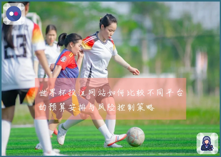 世界杯投注网站如何比较不同平台的预算安排与风险控制策略